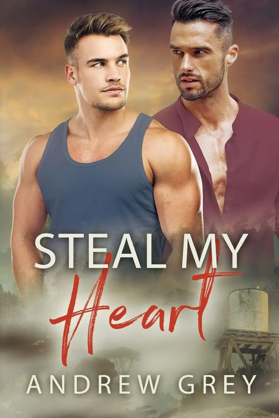 Cover: 9781641087117 | Steal My Heart | Andrew Grey | Taschenbuch | Englisch | 2024