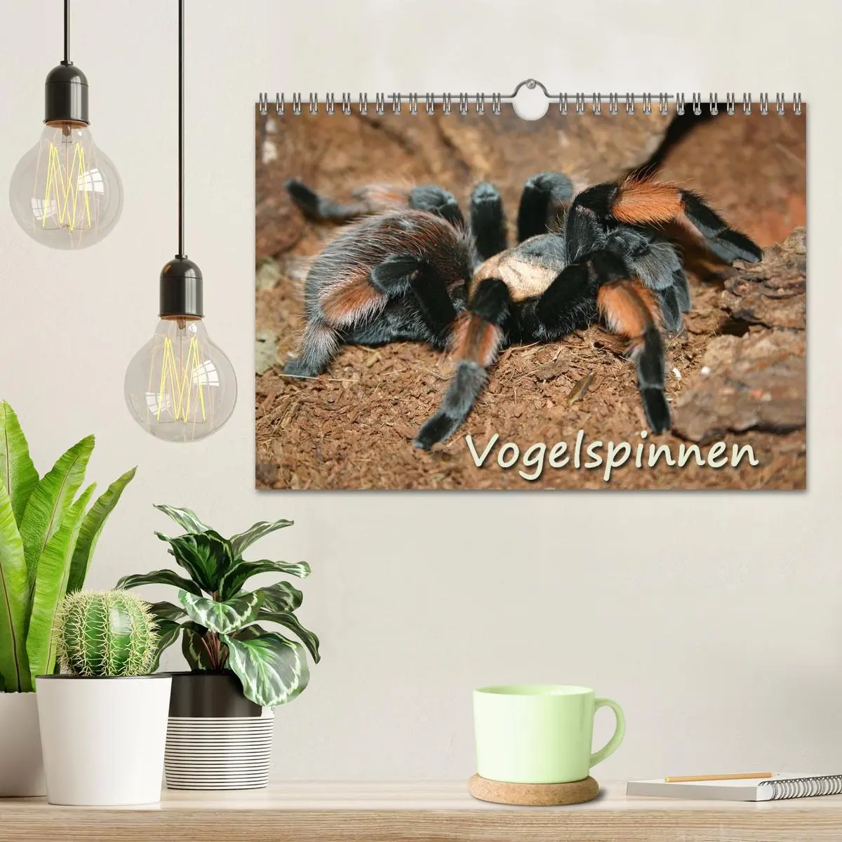 Bild: 9783516077117 | Vogelspinnen (Wandkalender 2026 DIN A4 quer), CALVENDO Monatskalender