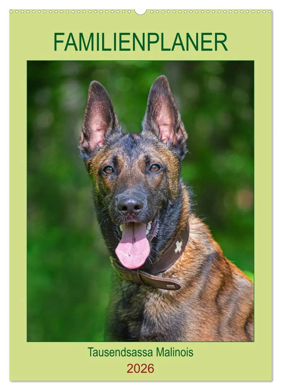 Cover: 9783516387117 | Familienplaner Tausendsassa Malinois (Wandkalender 2026 DIN A2...