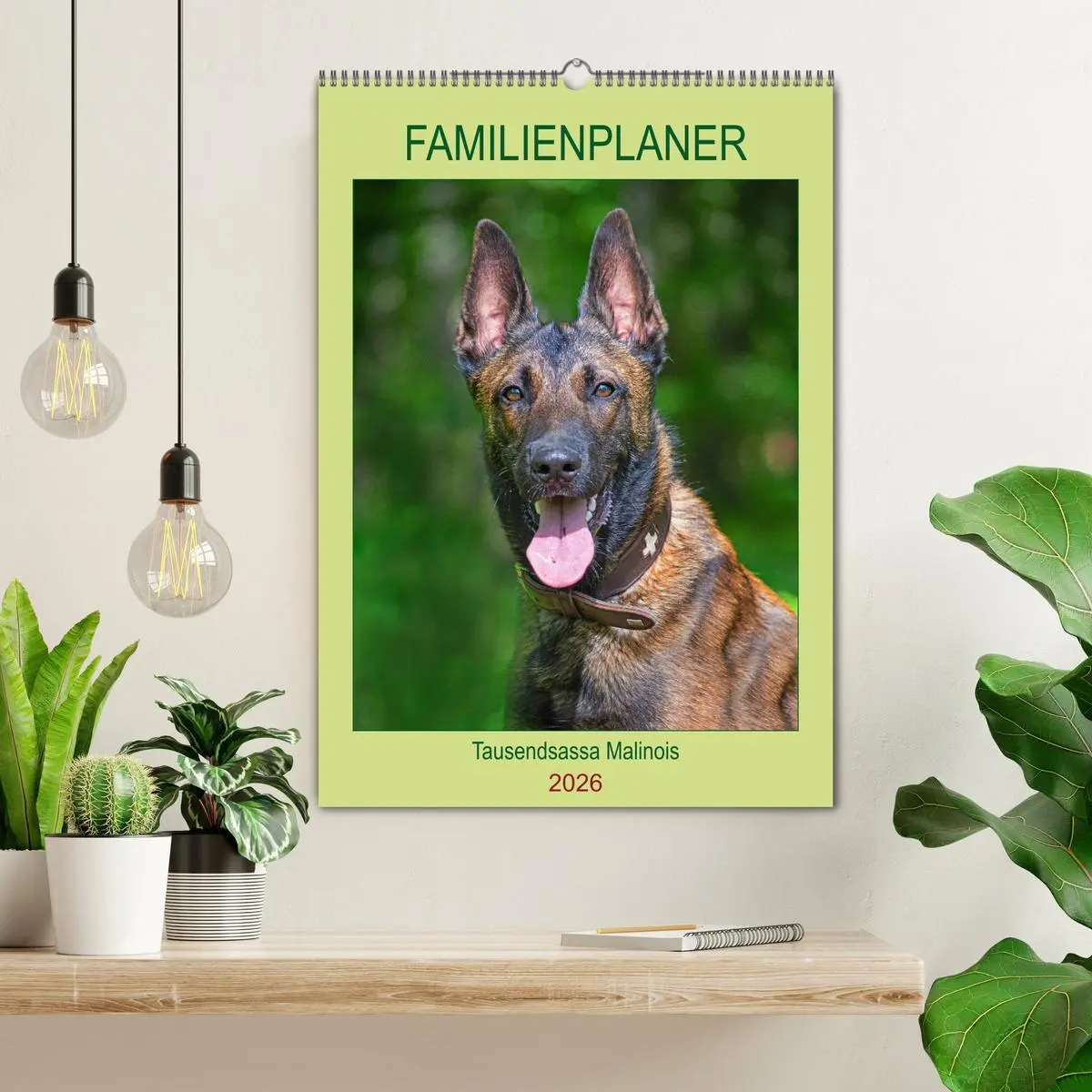 Bild: 9783516387117 | Familienplaner Tausendsassa Malinois (Wandkalender 2026 DIN A2...
