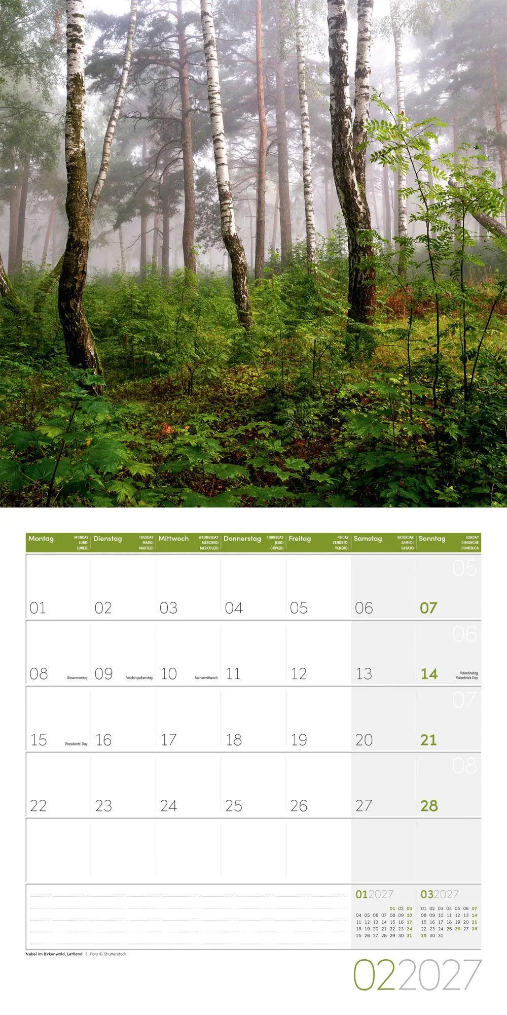 Bild: 9783838447117 | Zauber des Waldes Kalender 2027 - 30x30 - Art12 | GmbH | Kalender