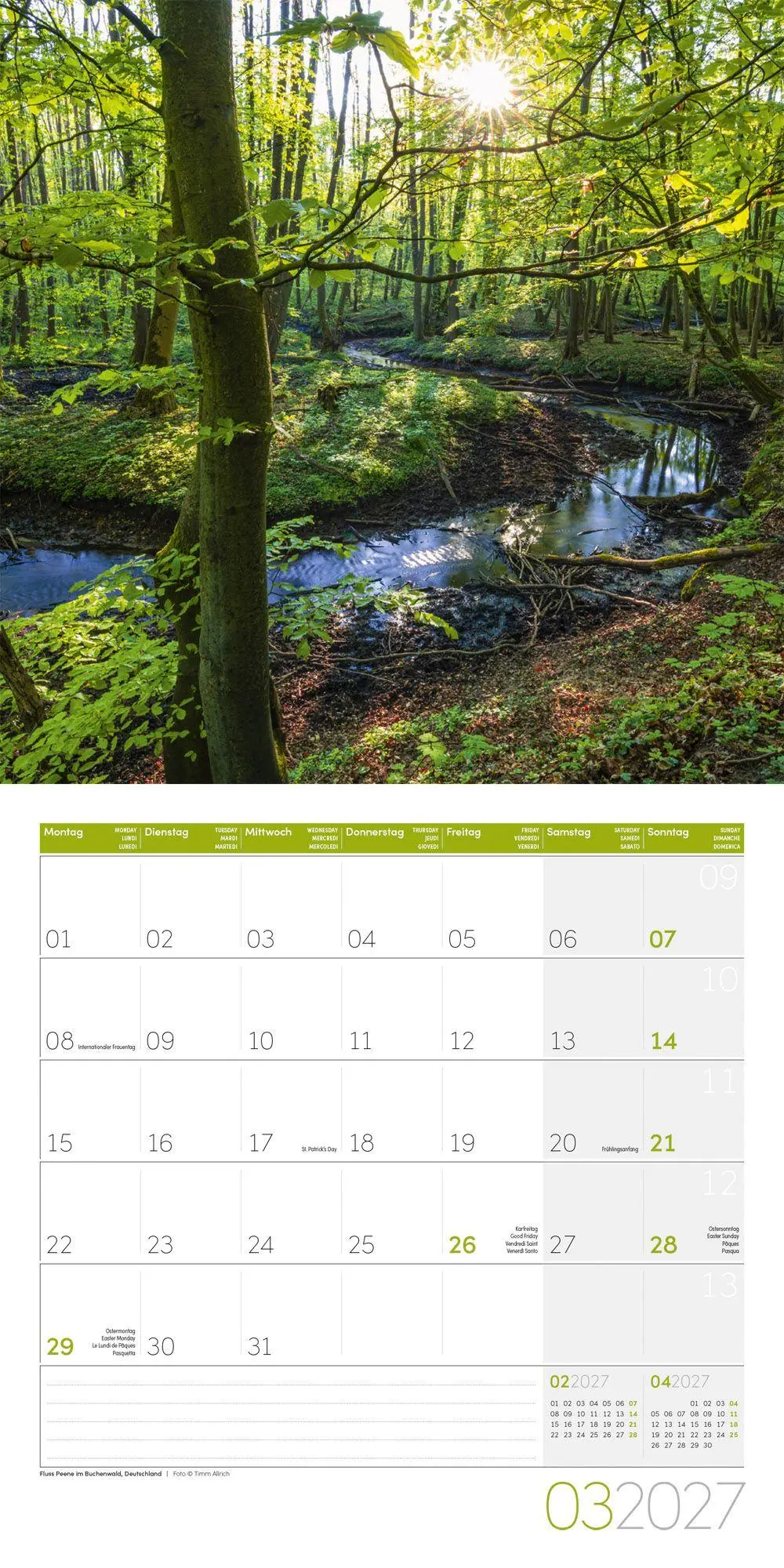 Bild: 9783838447117 | Zauber des Waldes Kalender 2027 - 30x30 - Art12 | GmbH | Kalender