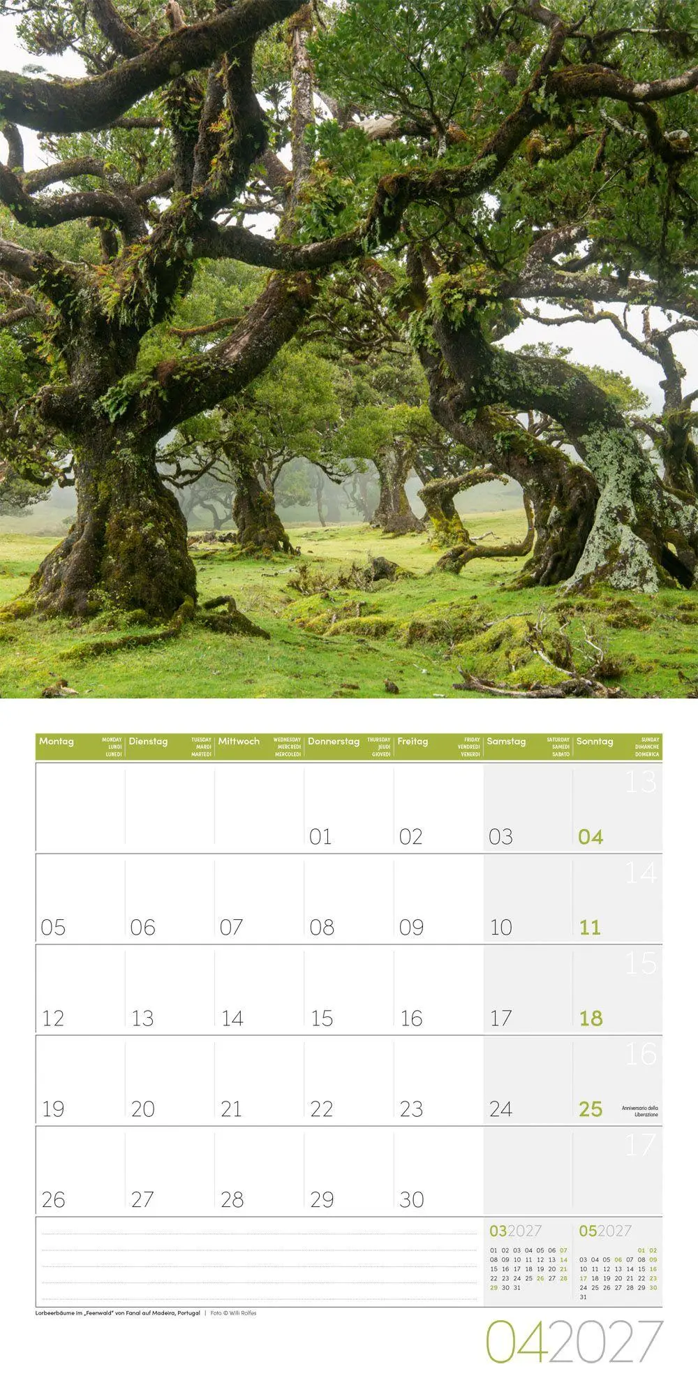 Bild: 9783838447117 | Zauber des Waldes Kalender 2027 - 30x30 - Art12 | GmbH | Kalender