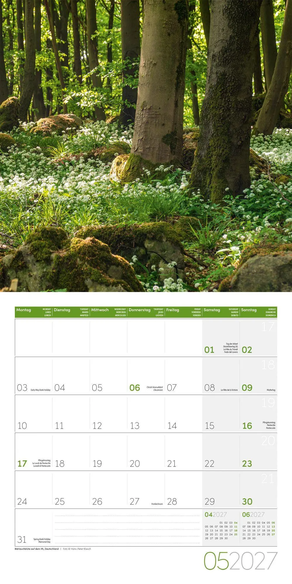 Bild: 9783838447117 | Zauber des Waldes Kalender 2027 - 30x30 - Art12 | GmbH | Kalender
