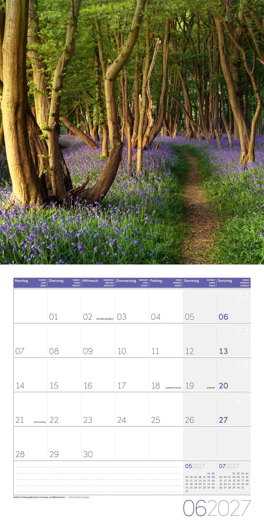 Bild: 9783838447117 | Zauber des Waldes Kalender 2027 - 30x30 - Art12 | GmbH | Kalender