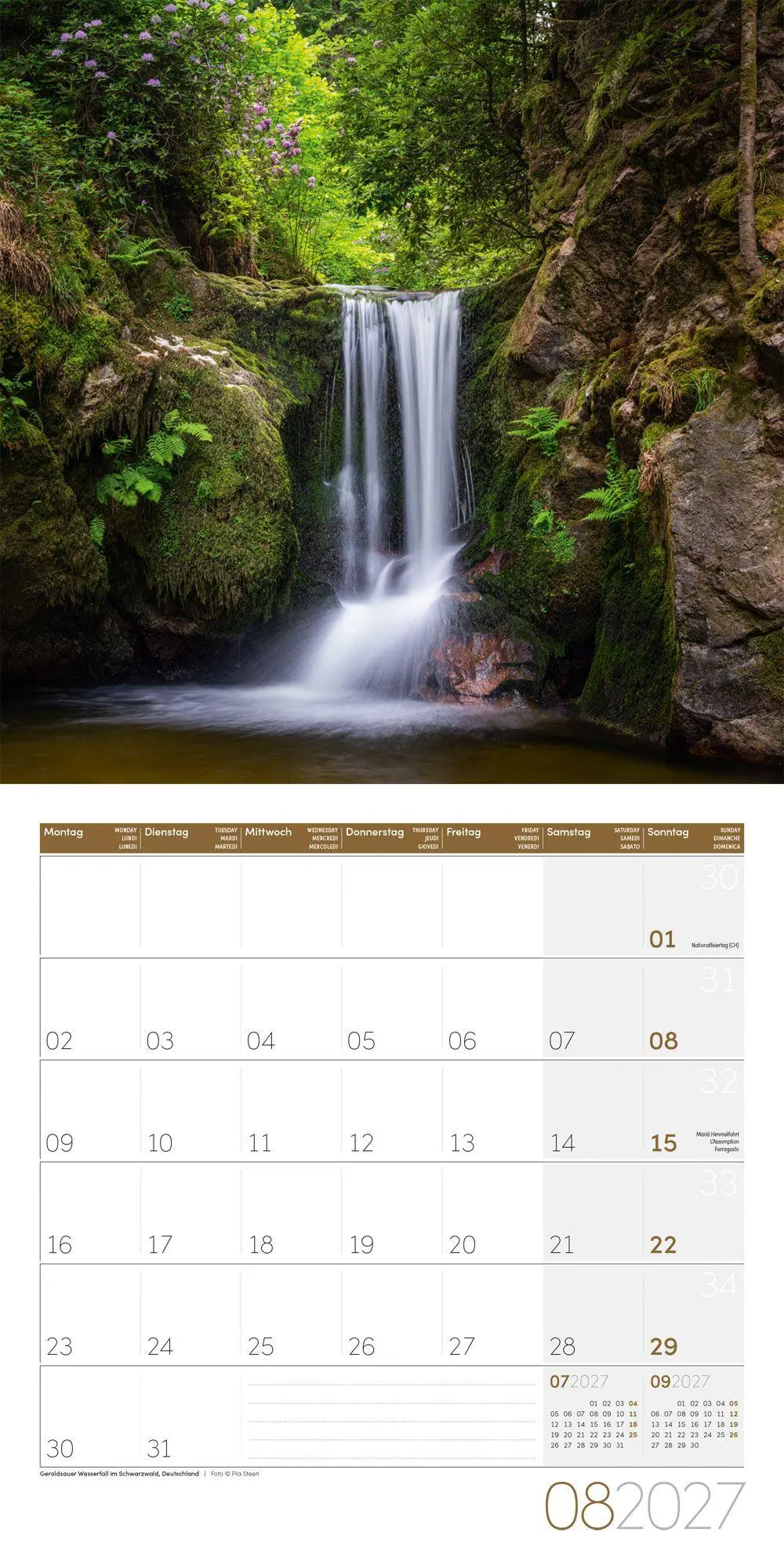 Bild: 9783838447117 | Zauber des Waldes Kalender 2027 - 30x30 - Art12 | GmbH | Kalender