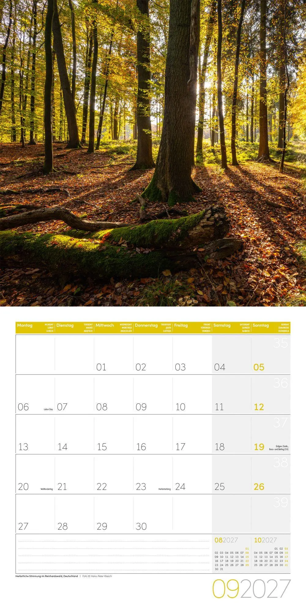 Bild: 9783838447117 | Zauber des Waldes Kalender 2027 - 30x30 - Art12 | GmbH | Kalender