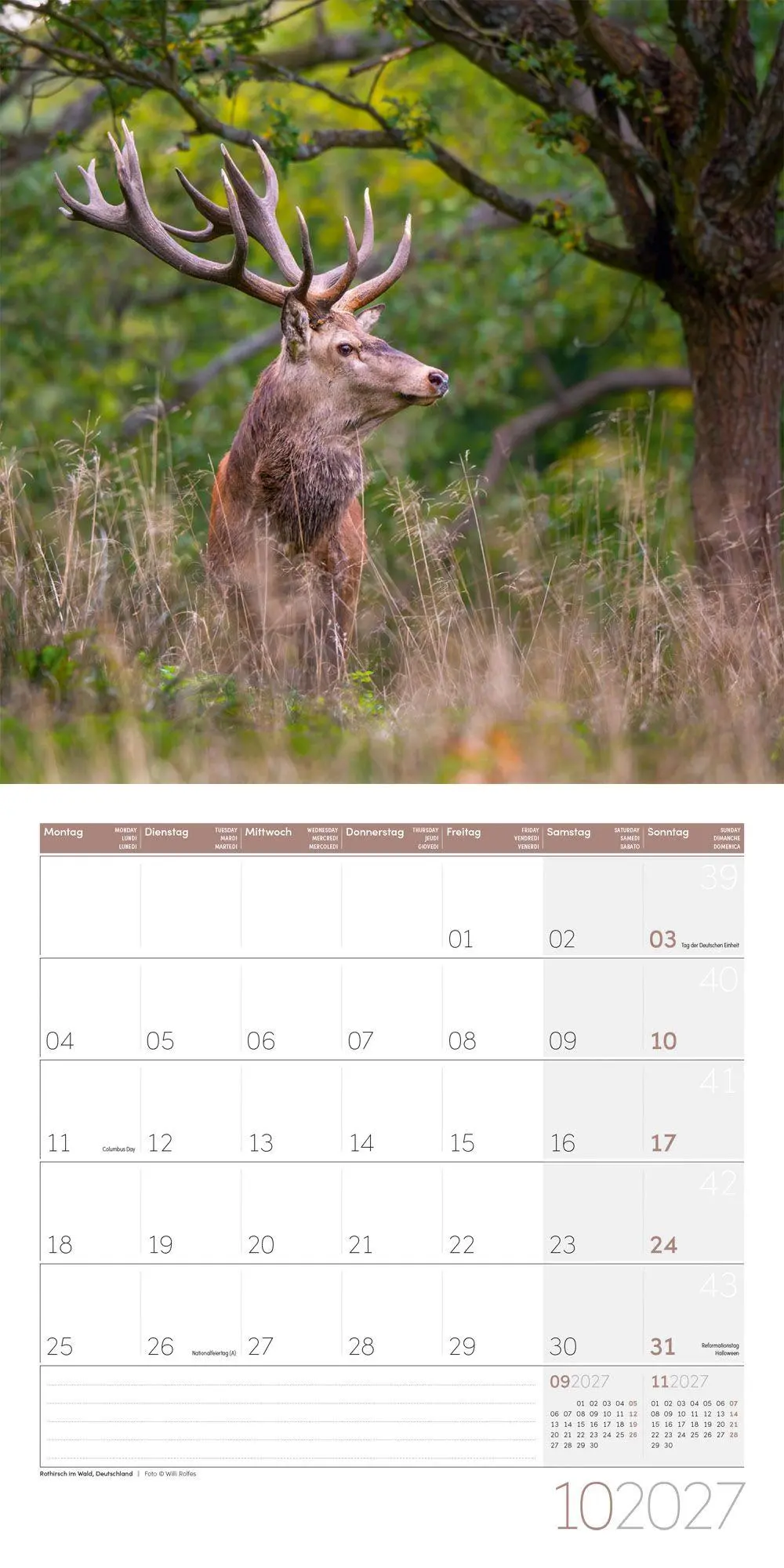 Bild: 9783838447117 | Zauber des Waldes Kalender 2027 - 30x30 - Art12 | GmbH | Kalender