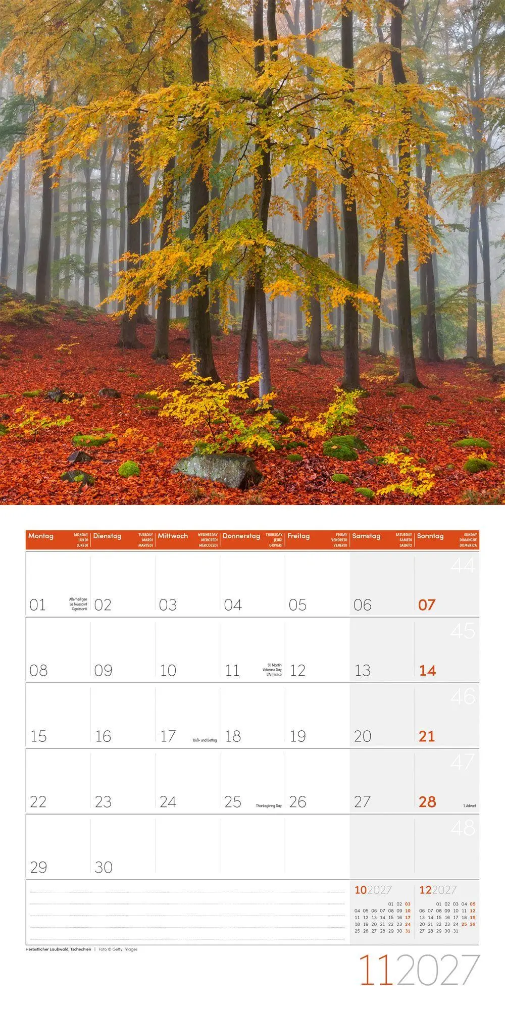 Bild: 9783838447117 | Zauber des Waldes Kalender 2027 - 30x30 - Art12 | GmbH | Kalender