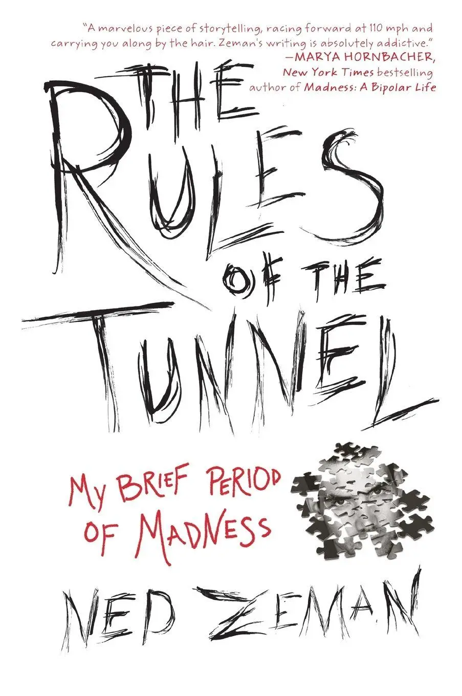 Cover: 9781592407217 | The Rules of the Tunnel | My Brief Period of Madness | Ned Zeman
