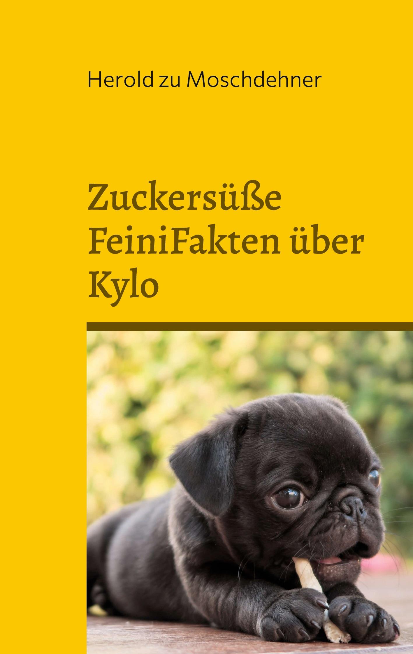Cover: 9783754357217 | Zuckersüße FeiniFakten über Kylo | Herold Zu Moschdehner | Taschenbuch