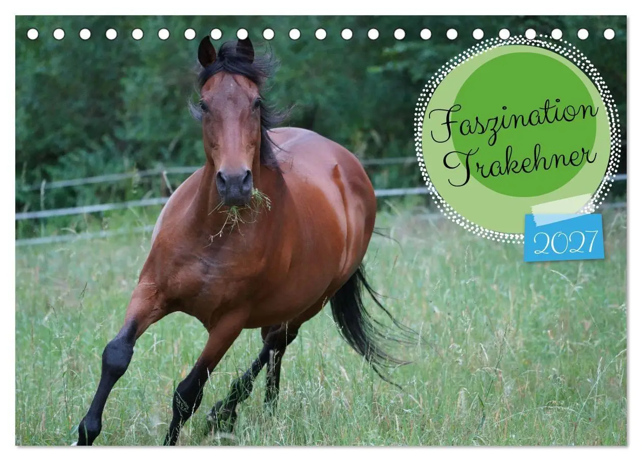 Cover: 9783569387317 | Faszination Trakehner (Tischkalender 2027 DIN A5 quer), CALVENDO...