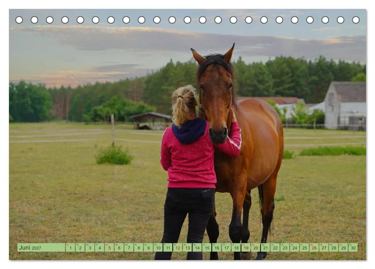 Bild: 9783569387317 | Faszination Trakehner (Tischkalender 2027 DIN A5 quer), CALVENDO...