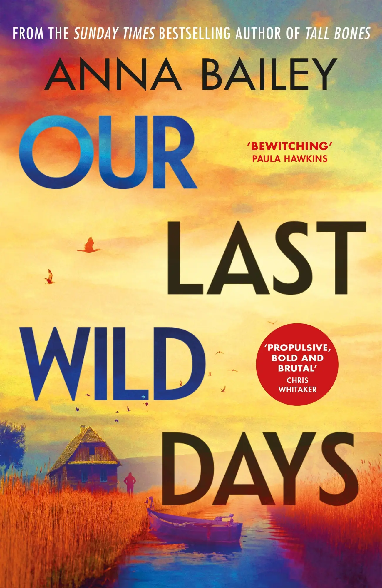Cover: 9780857527417 | Our Last Wild Days | Anna Bailey | Taschenbuch | 320 S. | Englisch