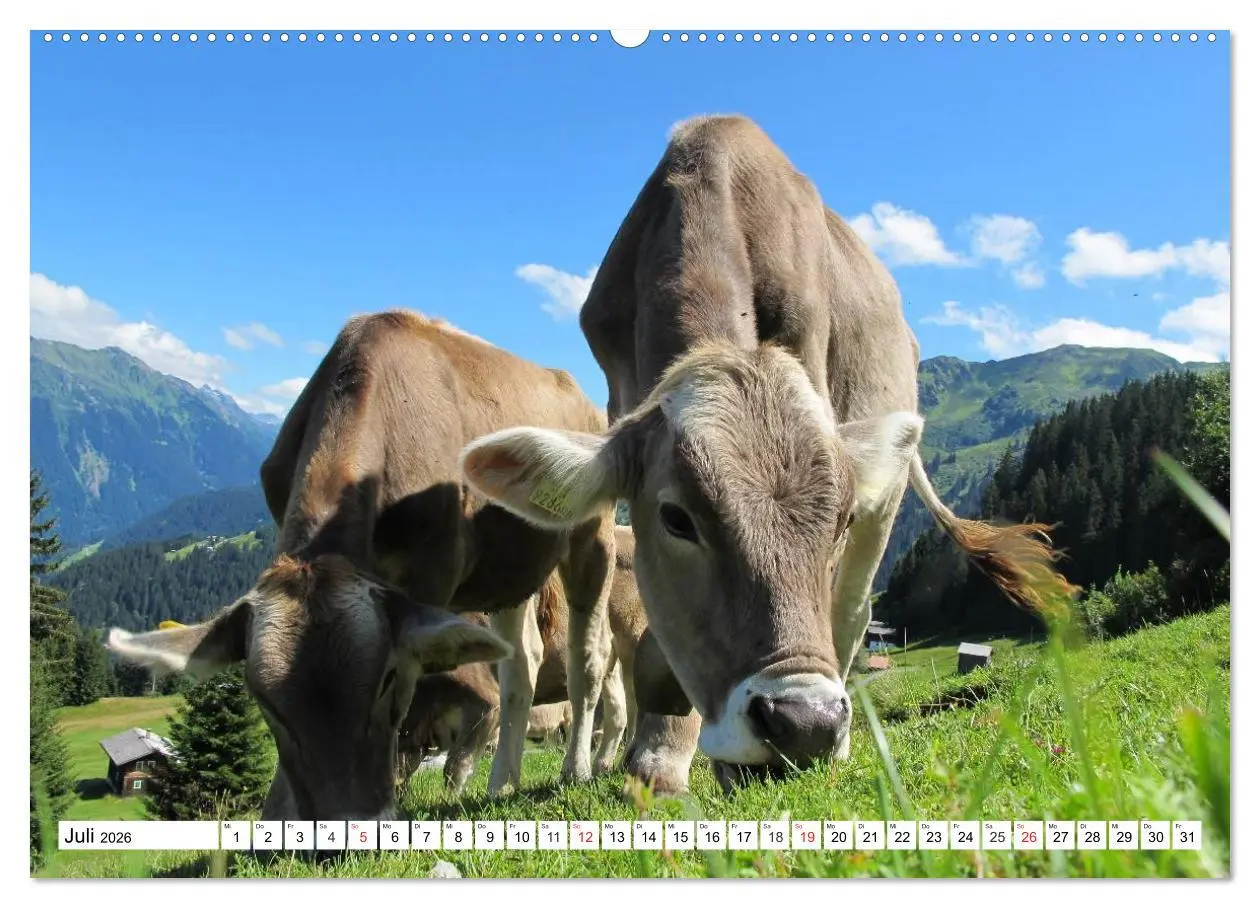 Bild: 9783457957417 | Geliebte Steiermark im Herzen Österreichs (hochwertiger Premium...