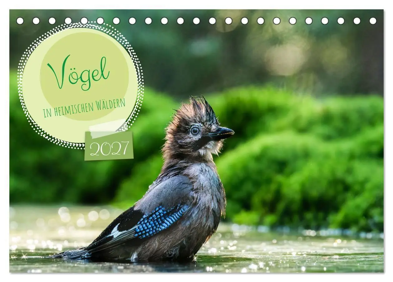 Cover: 9783569207417 | Vögel in heimischen Wäldern (Tischkalender 2027 DIN A5 quer),...