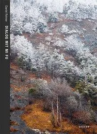 Cover: 9783868287417 | Daniel Rohner - Dialog mit/Dialogue with Mi Fu | Engl/dt | Rohner