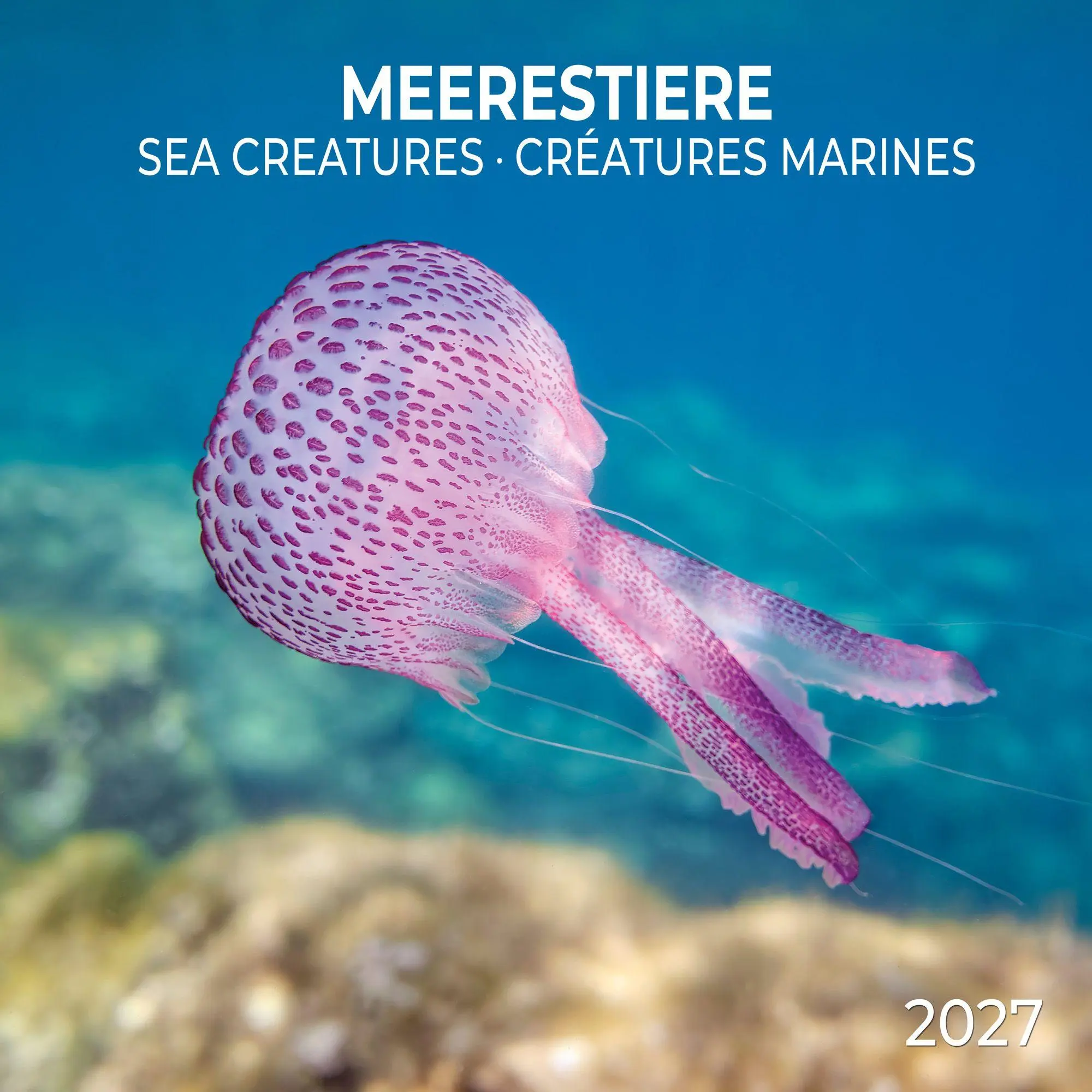 Cover: 9783959297417 | Meerestiere / Sea Creatures 2027 | Kalender 2027 | Kalender | 28 S.