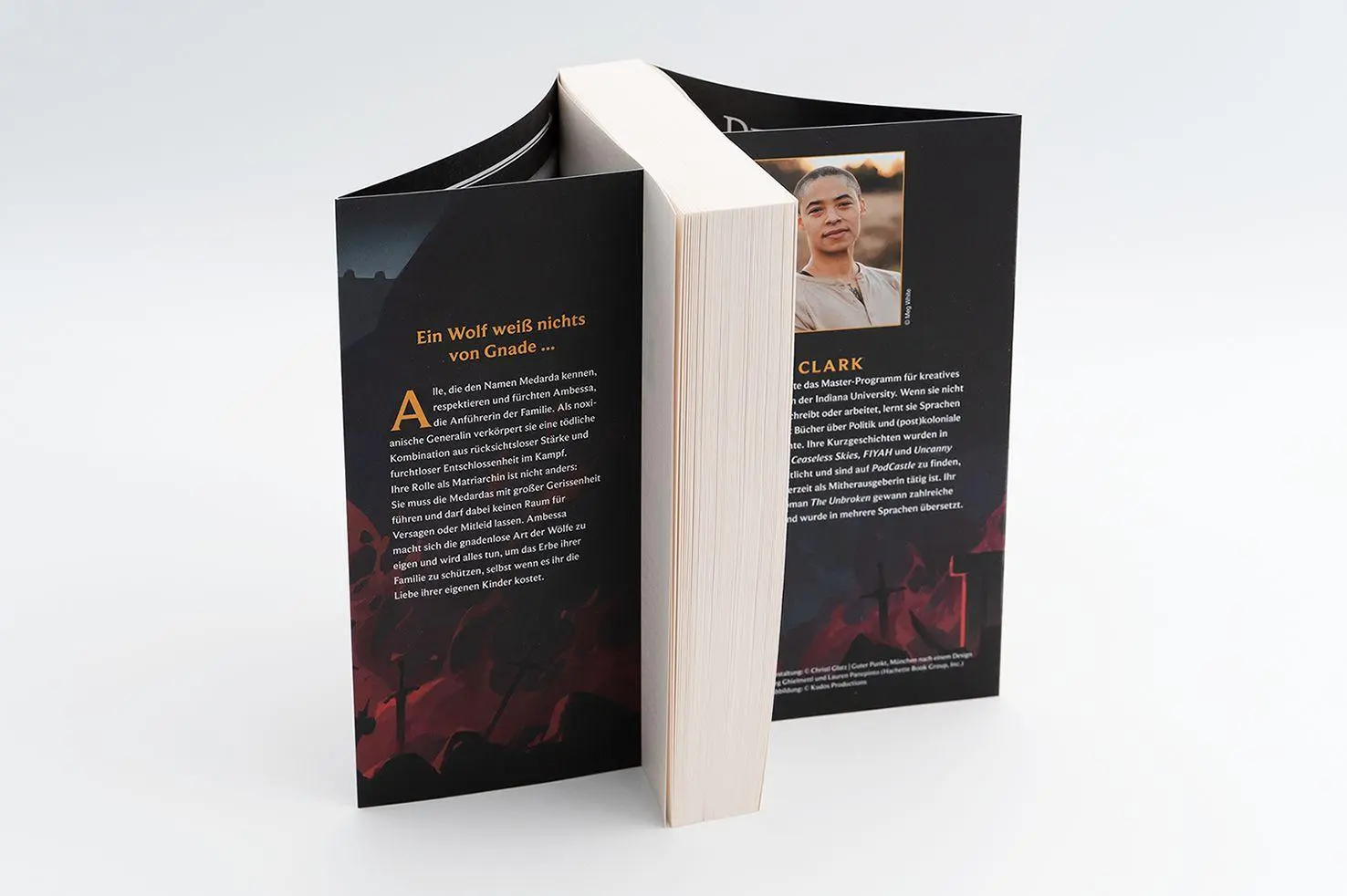 Bild: 9783426567517 | Ambessa: Chosen of the Wolf | C. L. Clark | Taschenbuch | 480 S.