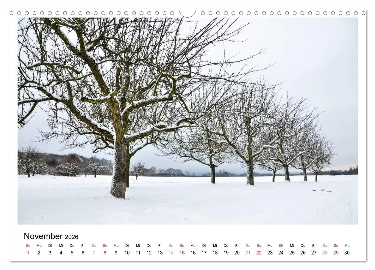 Bild: 9783516107517 | Bad Soden am Taunus (Wandkalender 2026 DIN A3 quer), CALVENDO...
