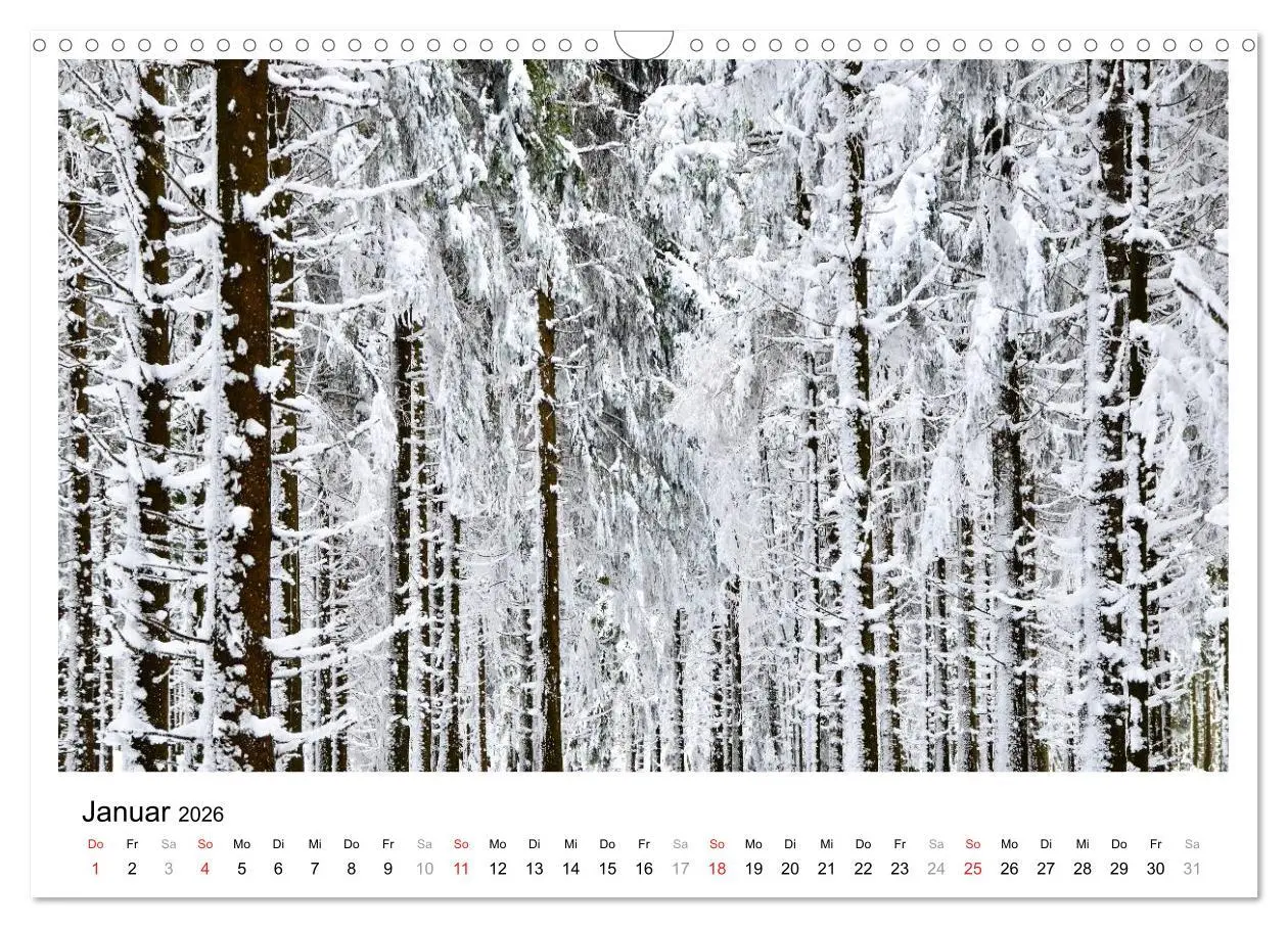 Bild: 9783516107517 | Bad Soden am Taunus (Wandkalender 2026 DIN A3 quer), CALVENDO...