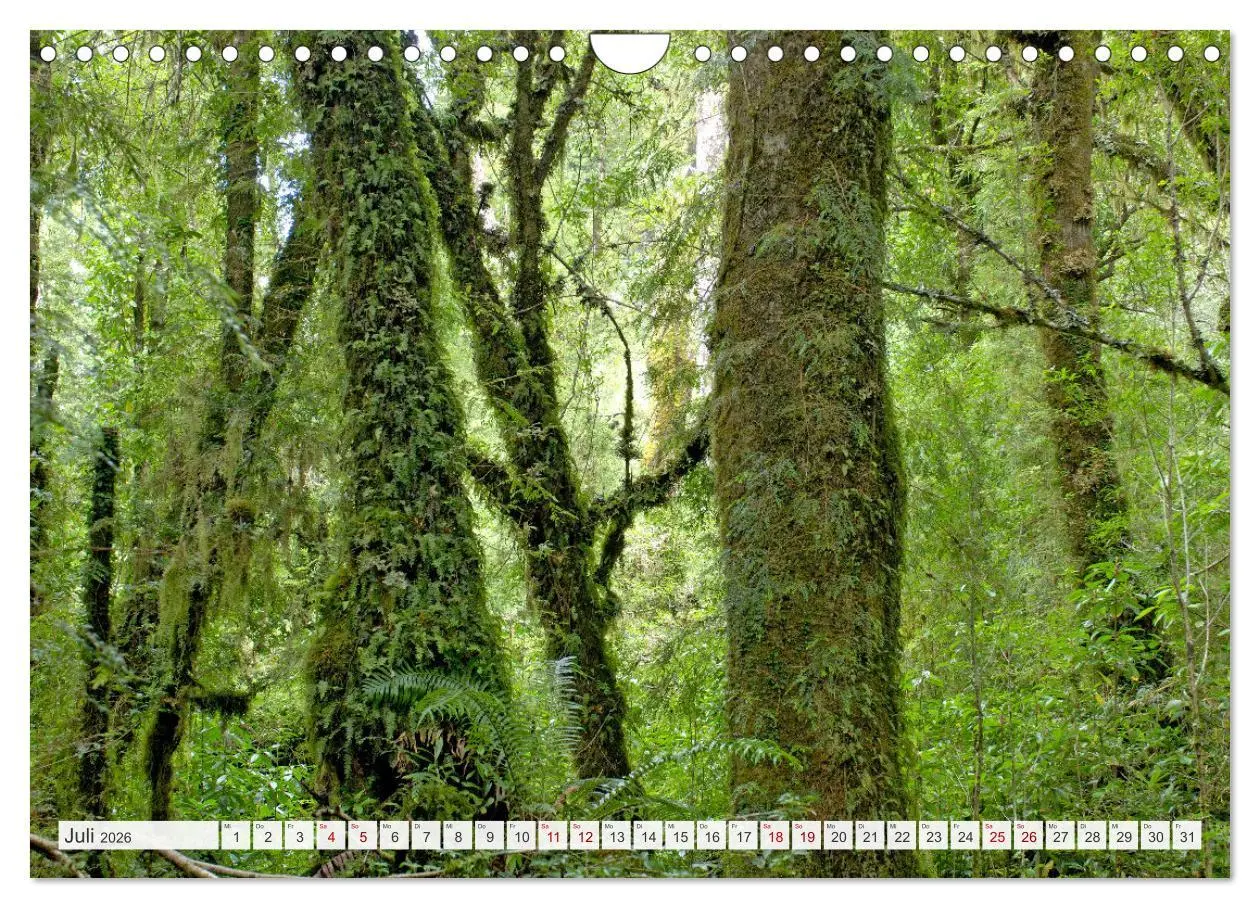 Bild: 9783457317617 | Magie dieses Südamerikanischen Landes, Chile (Wandkalender 2026 DIN...