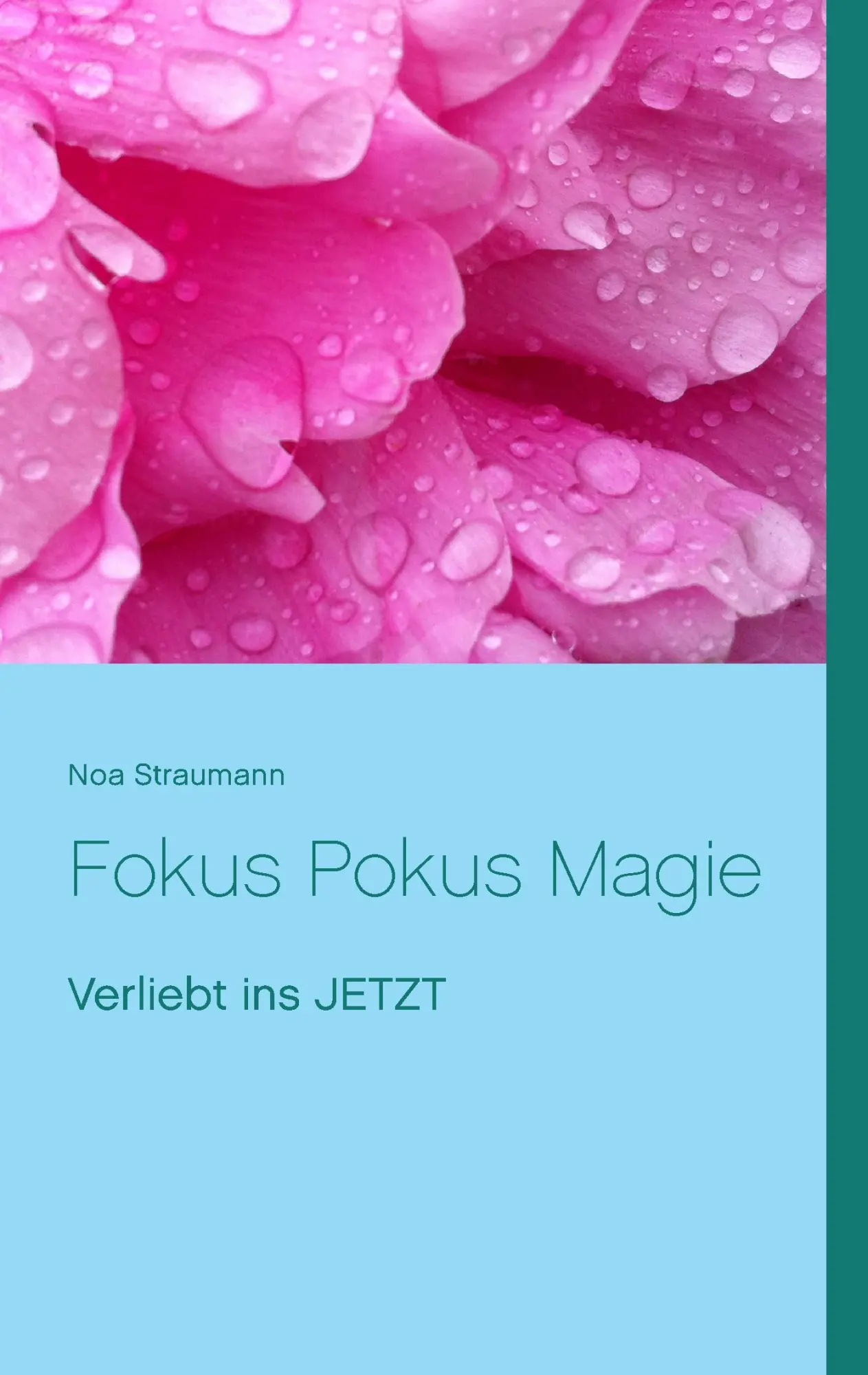 Cover: 9783743117617 | Fokus Pokus Magie | Verliebt ins JETZT | Noa Straumann | Taschenbuch
