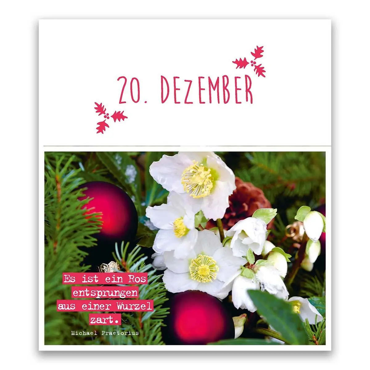 Bild: 9783746257617 | Aus einer Wurzel zart ... | Kalender | 25 S. | Deutsch