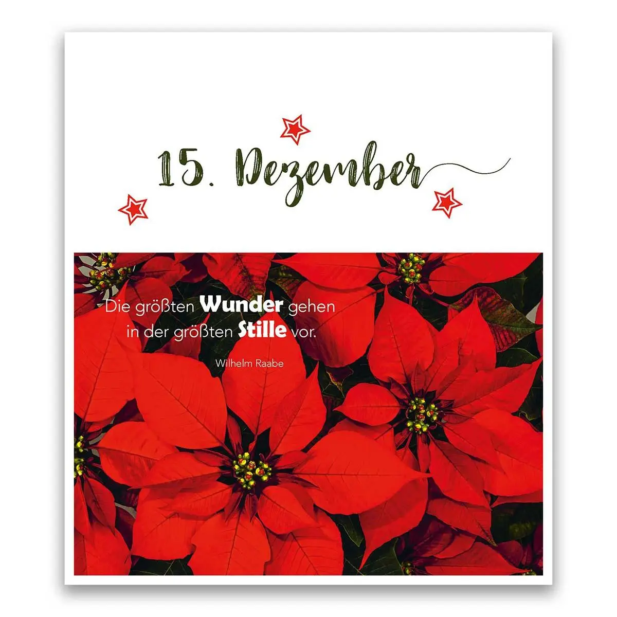 Bild: 9783746257617 | Aus einer Wurzel zart ... | Kalender | 25 S. | Deutsch