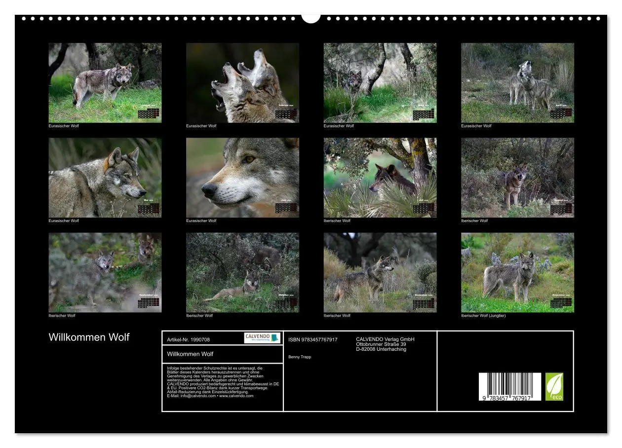 Bild: 9783457767917 | Willkommen Wolf (hochwertiger Premium Wandkalender 2026 DIN A2...