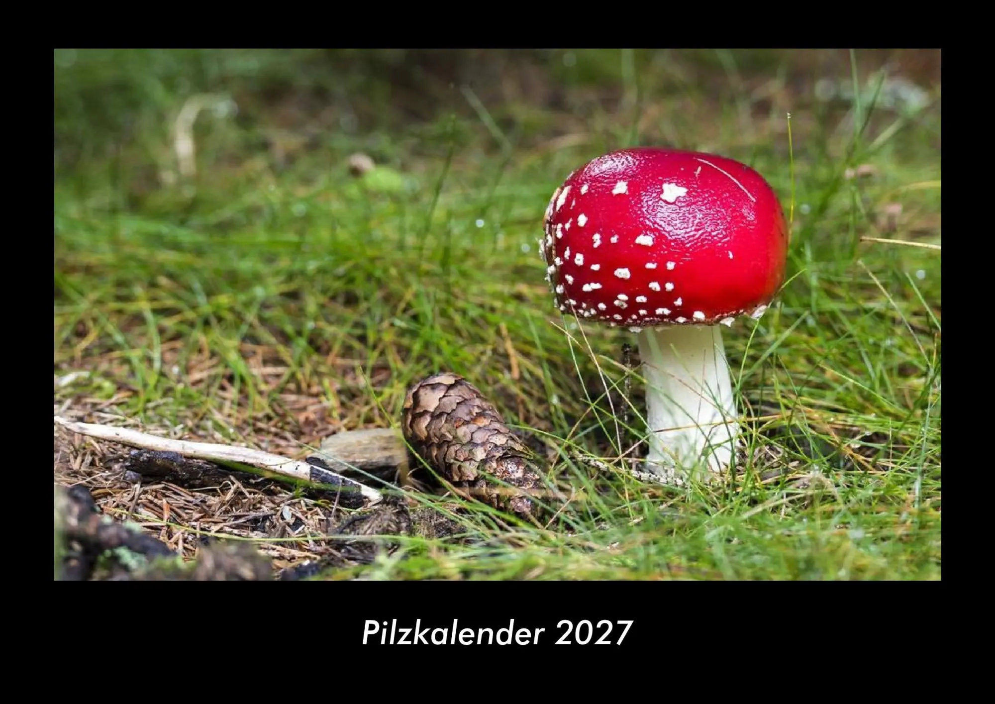 Cover: 9783695437917 | Pilzkalender 2027 Fotokalender DIN A3 | Tobias Becker | Kalender