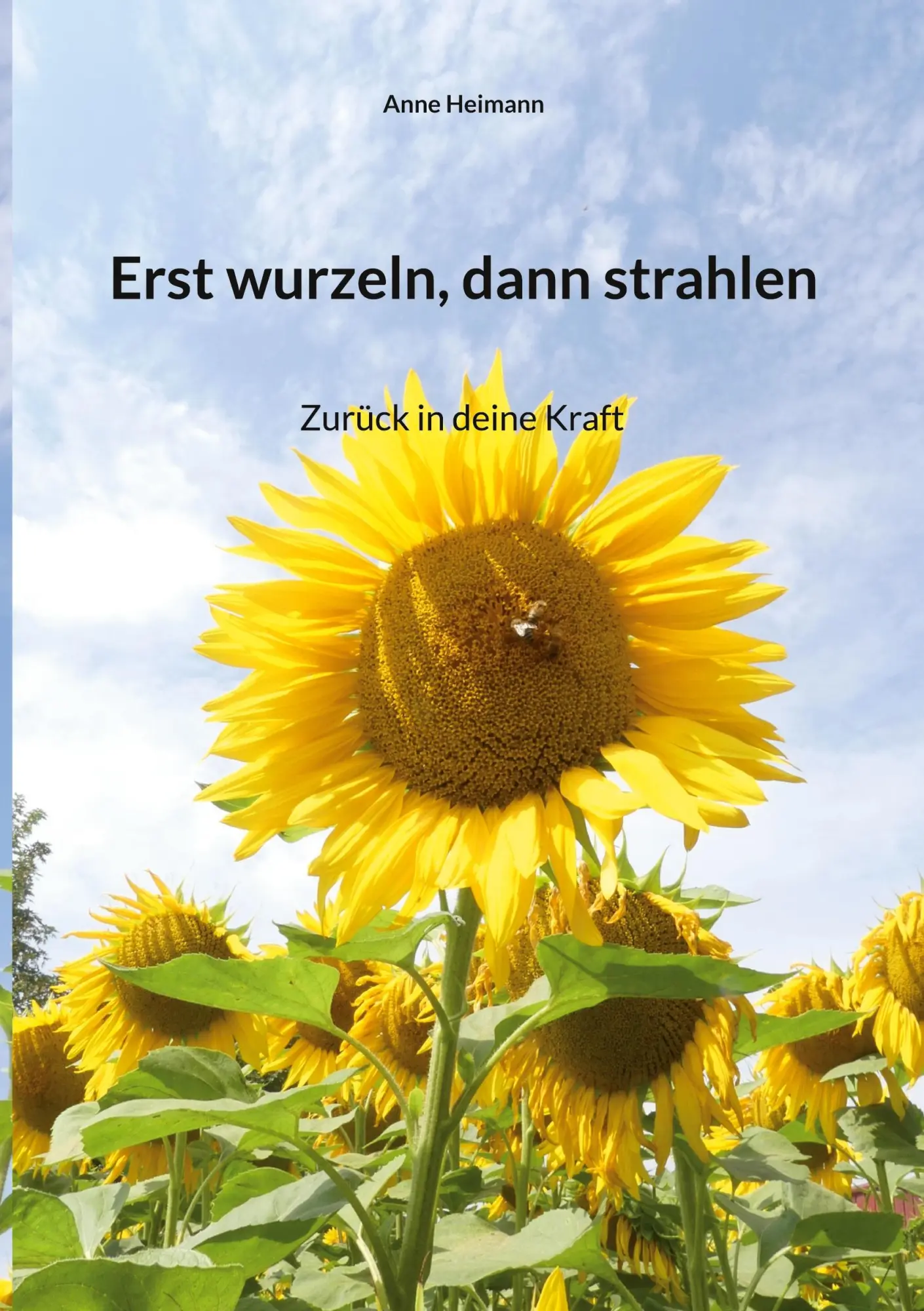 Cover: 9783696737917 | Erst wurzeln, dann strahlen | Zurück in deine Kraft | Anne Heimann