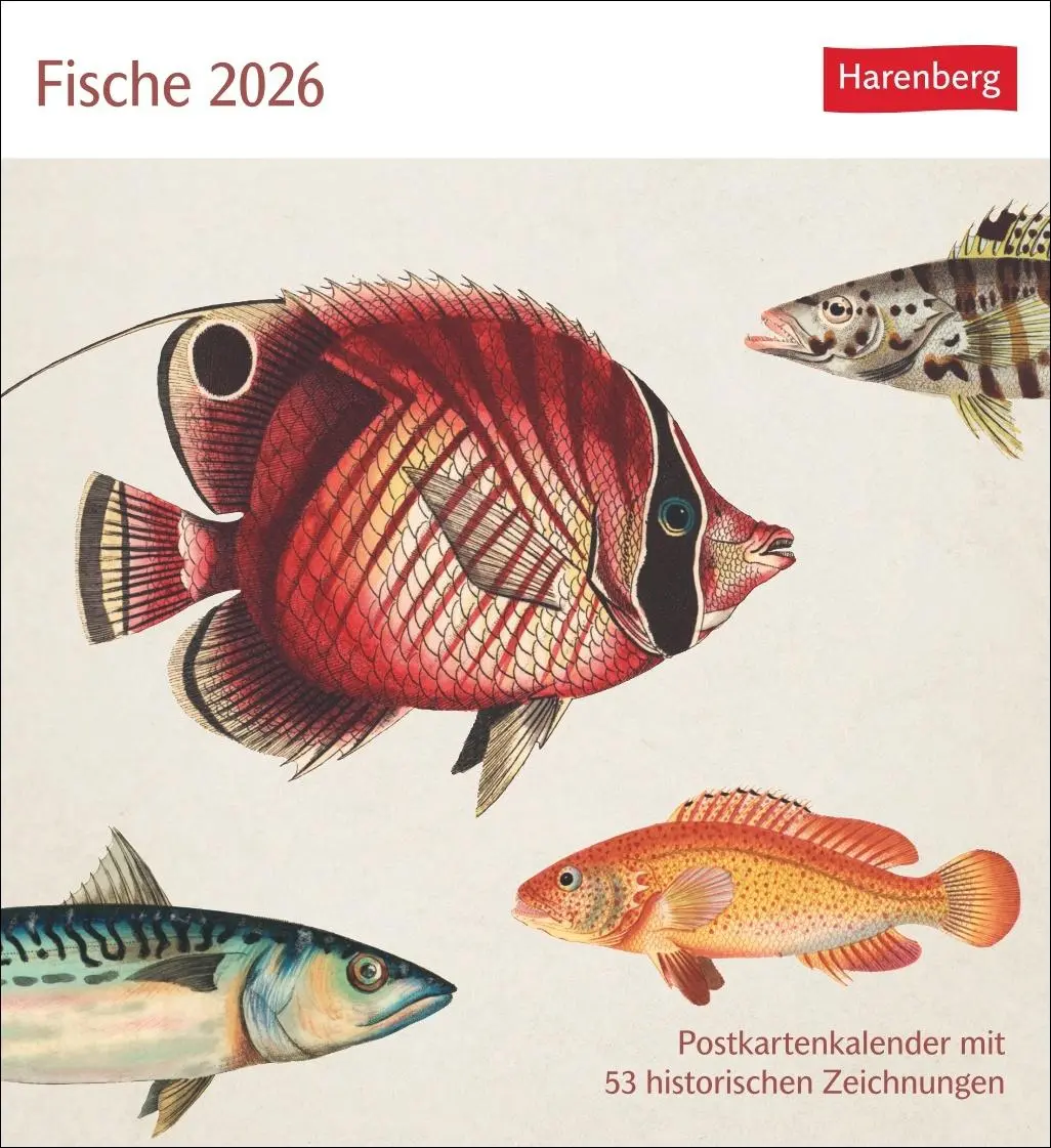 Cover: 9783840037917 | Fische Postkartenkalender 2026 - Postkartenkalender mit 53...