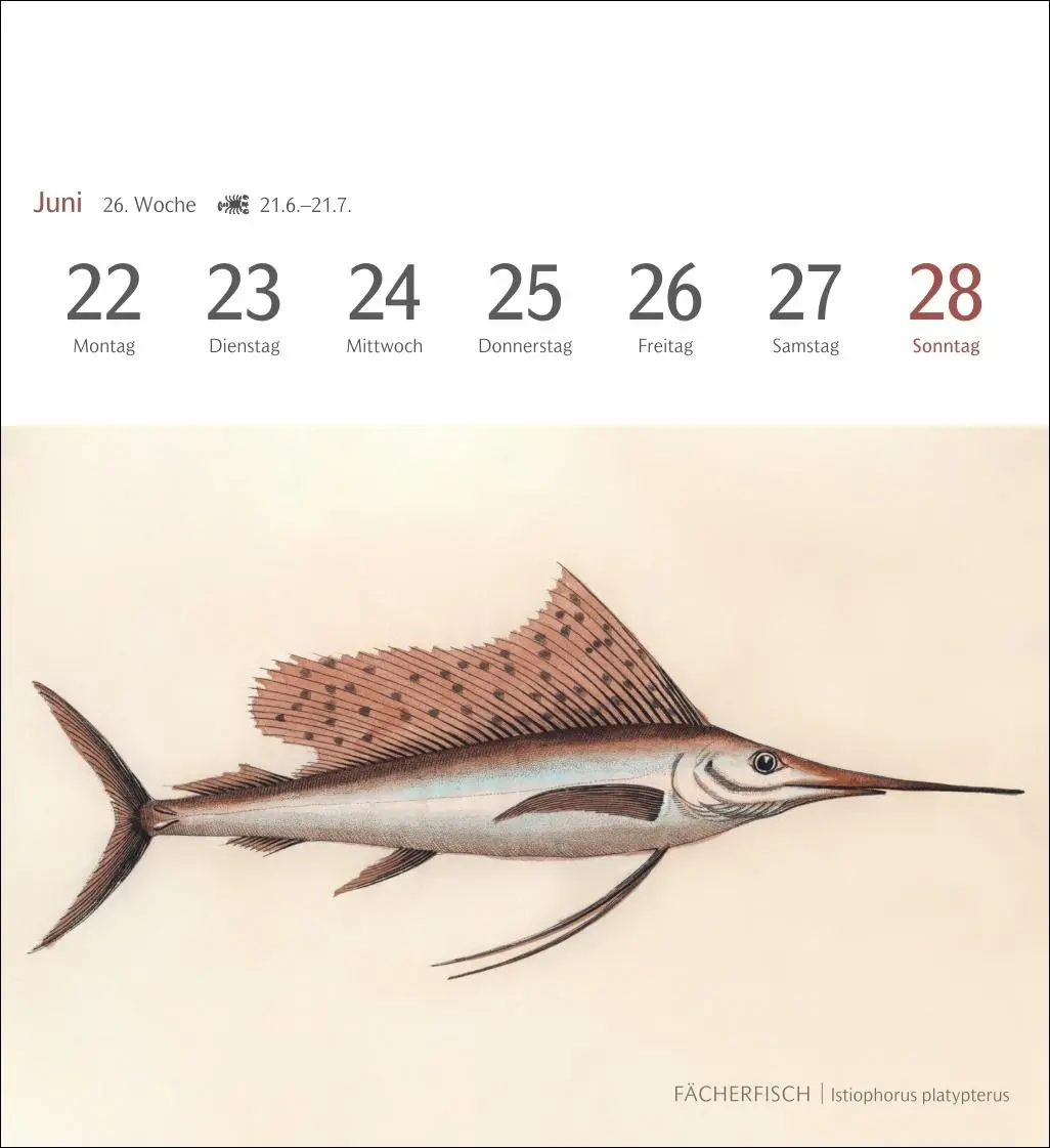 Bild: 9783840037917 | Fische Postkartenkalender 2026 - Postkartenkalender mit 53...