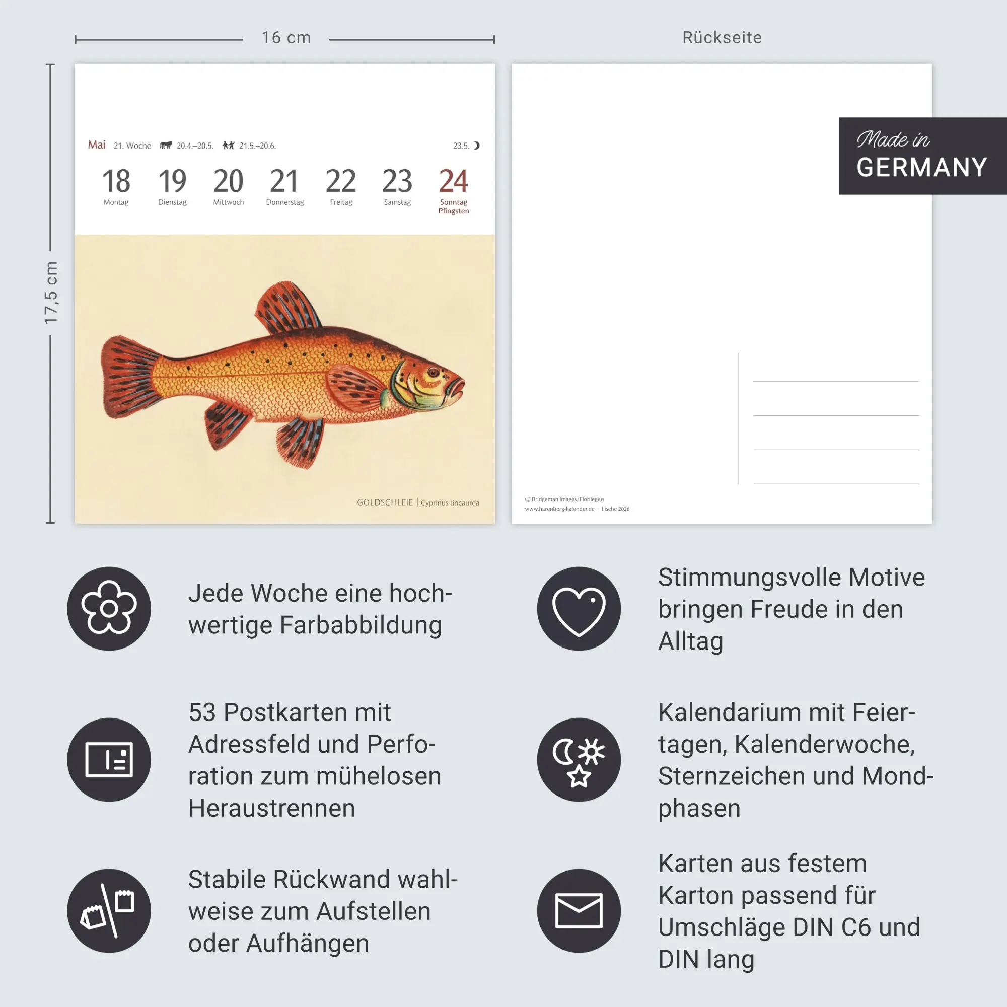 Bild: 9783840037917 | Fische Postkartenkalender 2026 - Postkartenkalender mit 53...