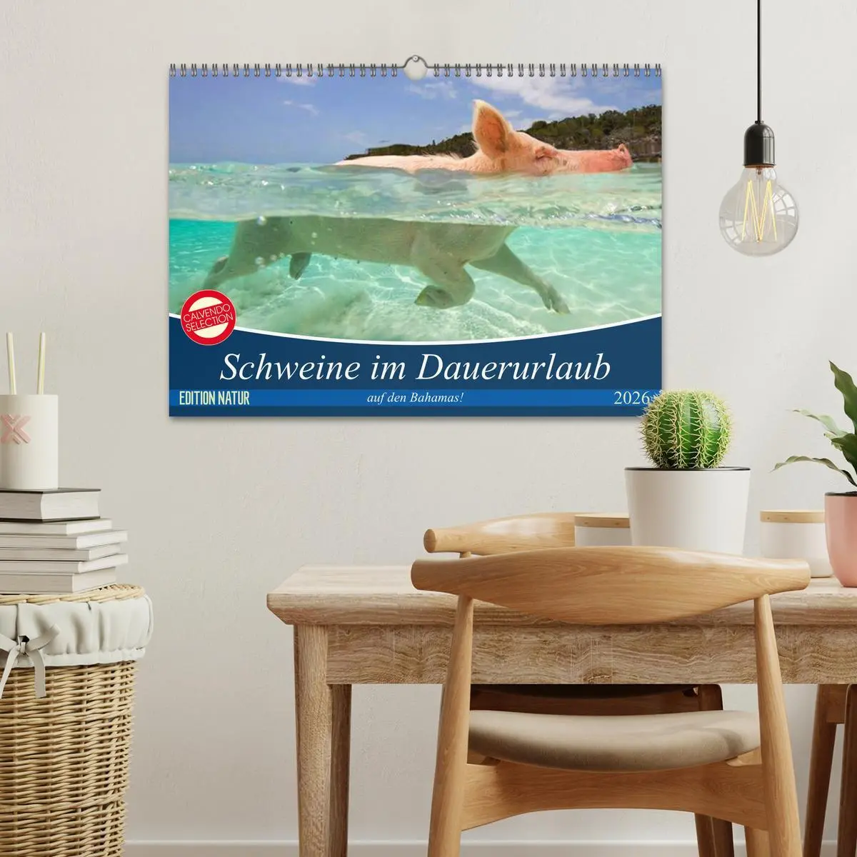 Bild: 9783457888117 | Schweine im Dauerurlaub auf den Bahamas! (Wandkalender 2026 DIN A3...