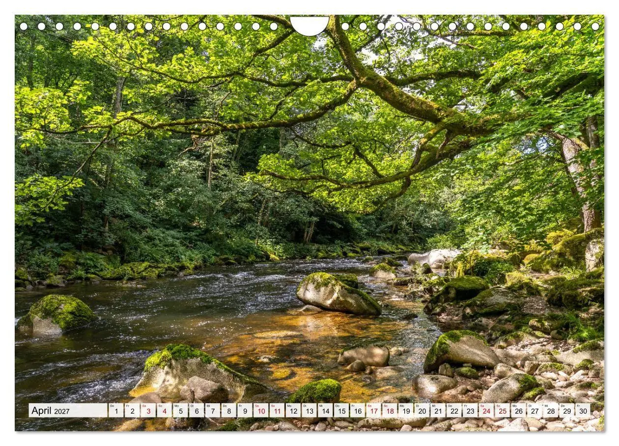 Bild: 9783569688117 | Urlaubsregion Schwarzwald (Wandkalender 2027 DIN A4 quer), CALVENDO...