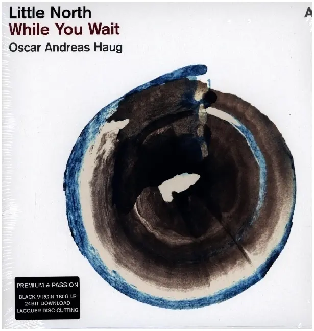 While You Wait,1 Schallplatte + Download (Black Vinyl)