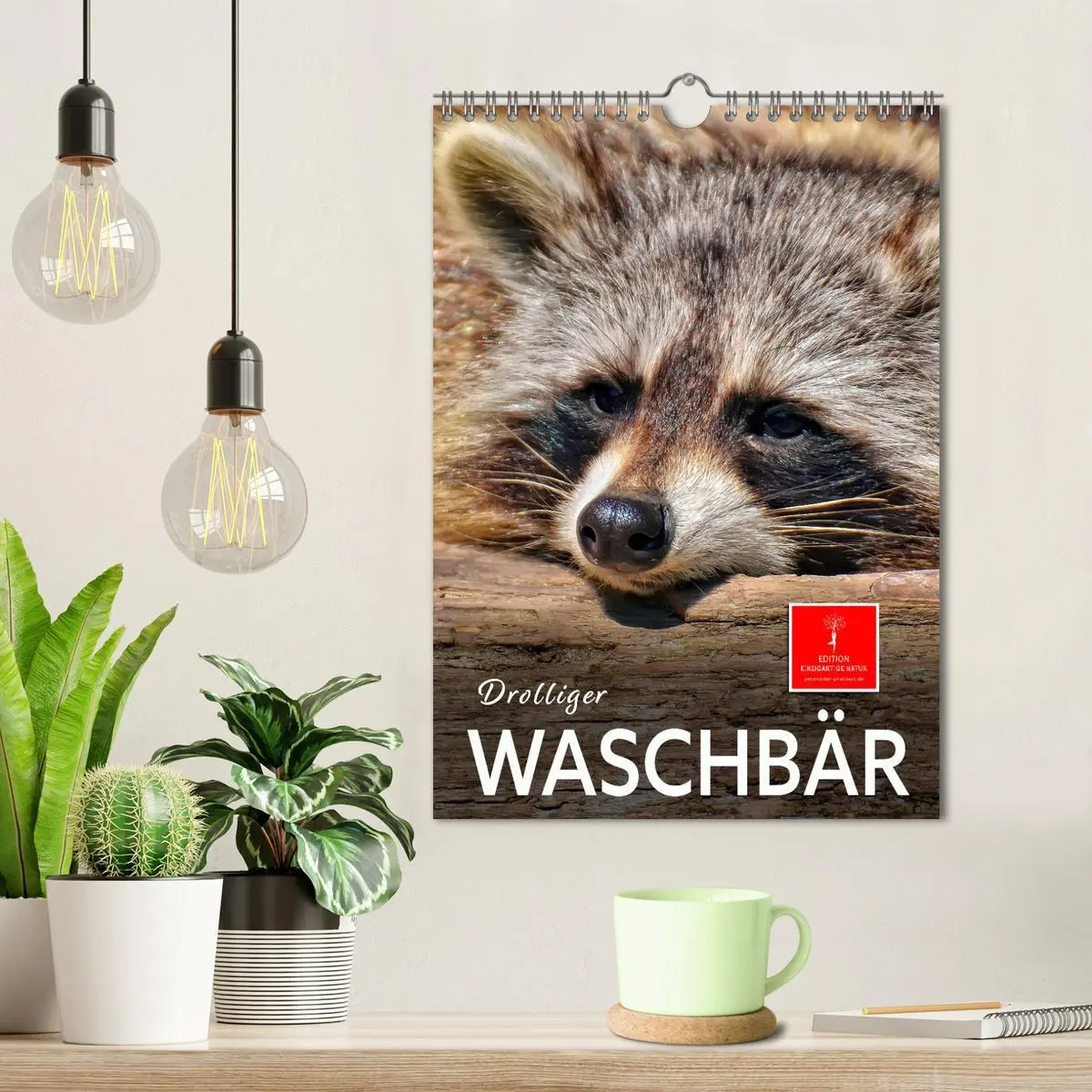 Bild: 9783516348217 | Drolliger Waschbär (Wandkalender 2026 DIN A4 hoch), CALVENDO...