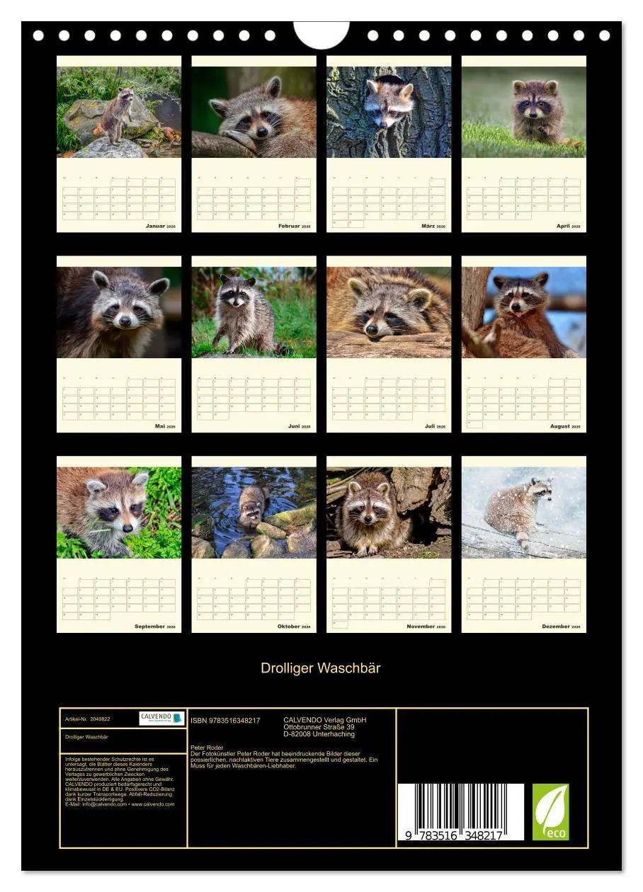 Bild: 9783516348217 | Drolliger Waschbär (Wandkalender 2026 DIN A4 hoch), CALVENDO...
