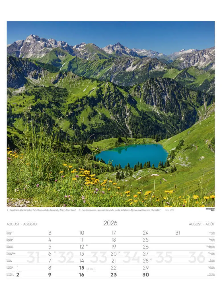 Bild: 9788868398217 | Alpen Kalender 2026 | Alpi - Alps | Athesia-Tappeiner Verlag | 14 S.