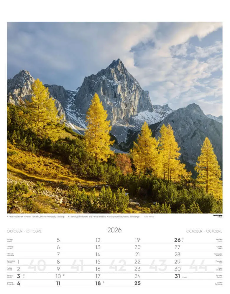 Bild: 9788868398217 | Alpen Kalender 2026 | Alpi - Alps | Athesia-Tappeiner Verlag | 14 S.