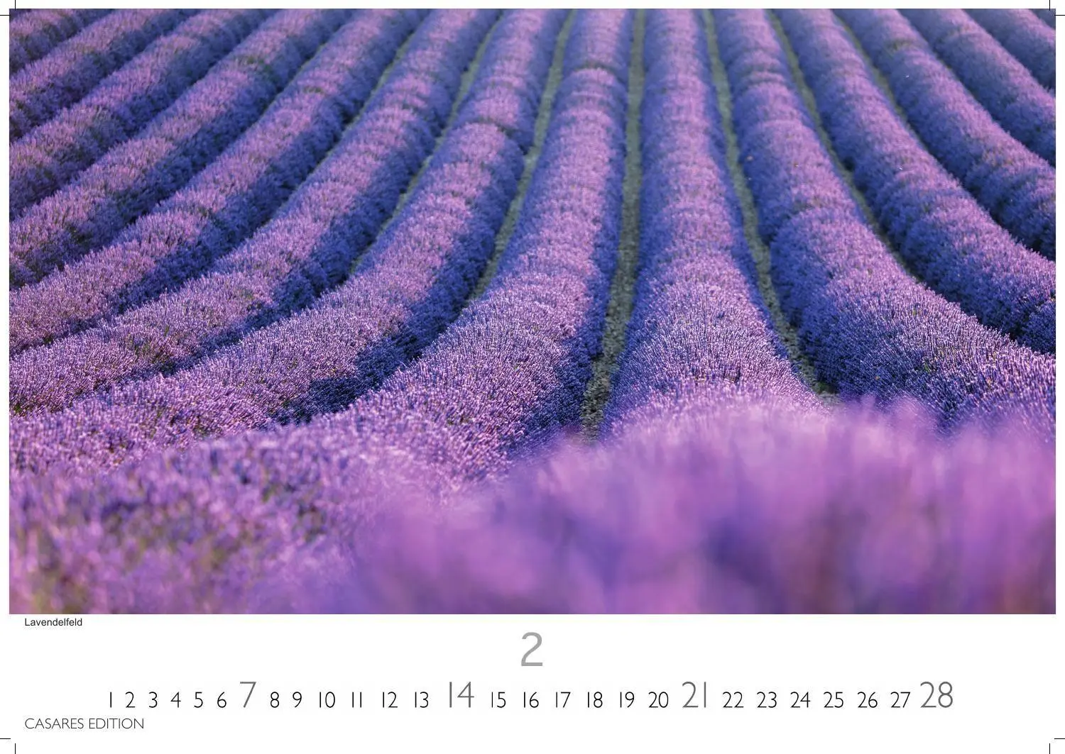 Bild: 9781835248317 | Provence Kalender 2027 - Wandkalender Fotokalender Frankreich...