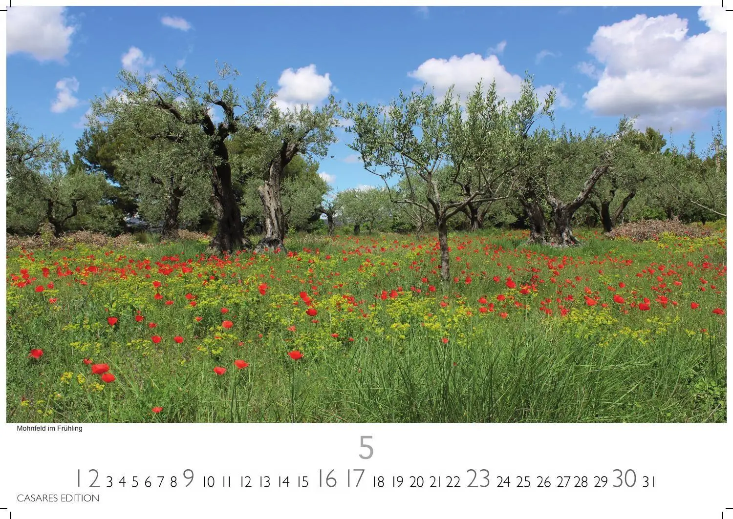 Bild: 9781835248317 | Provence Kalender 2027 - Wandkalender Fotokalender Frankreich...