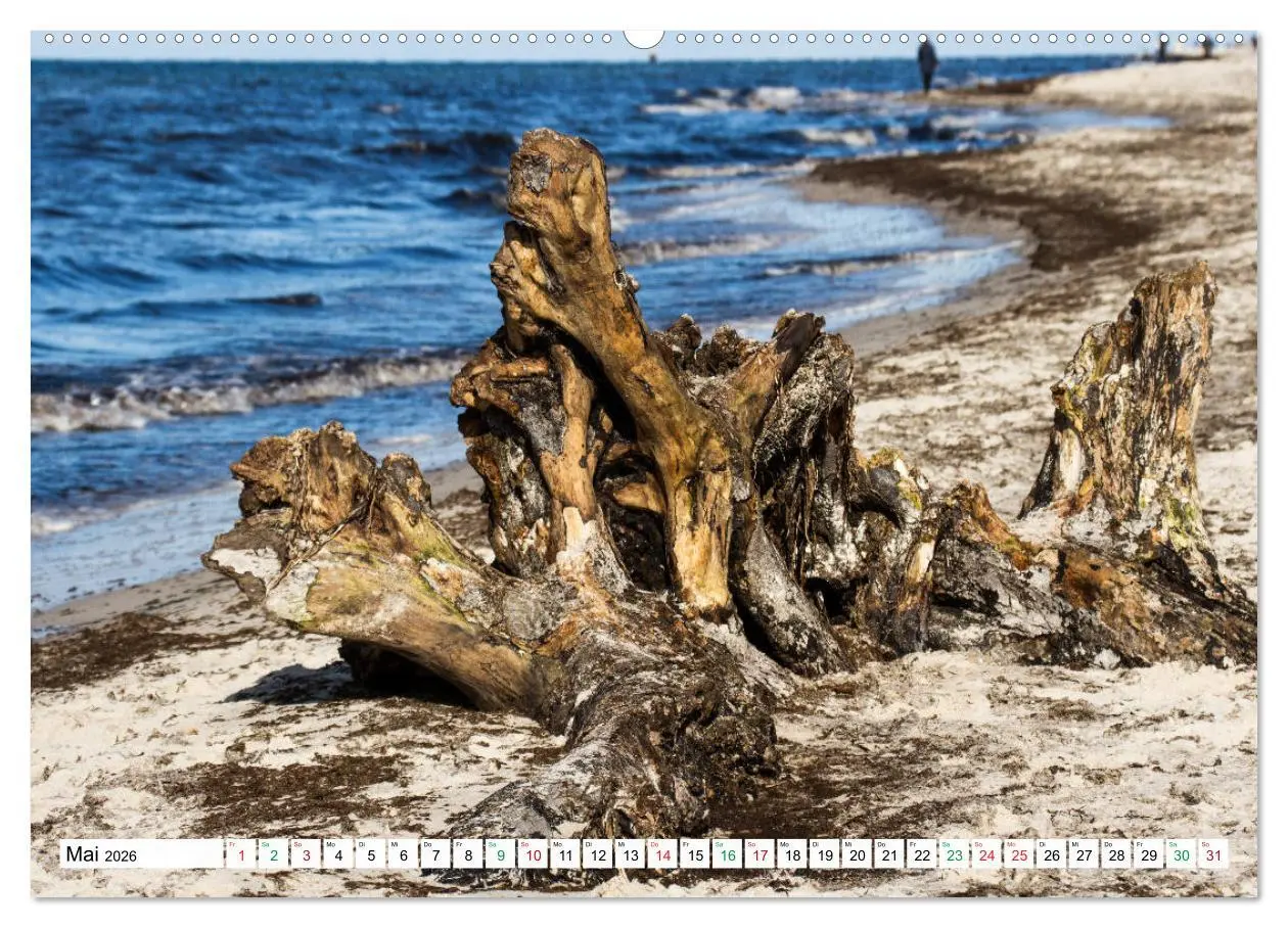 Bild: 9783457248317 | Darßer Weststrand - Fischland Darß Zingst (Wandkalender 2026 DIN A2...