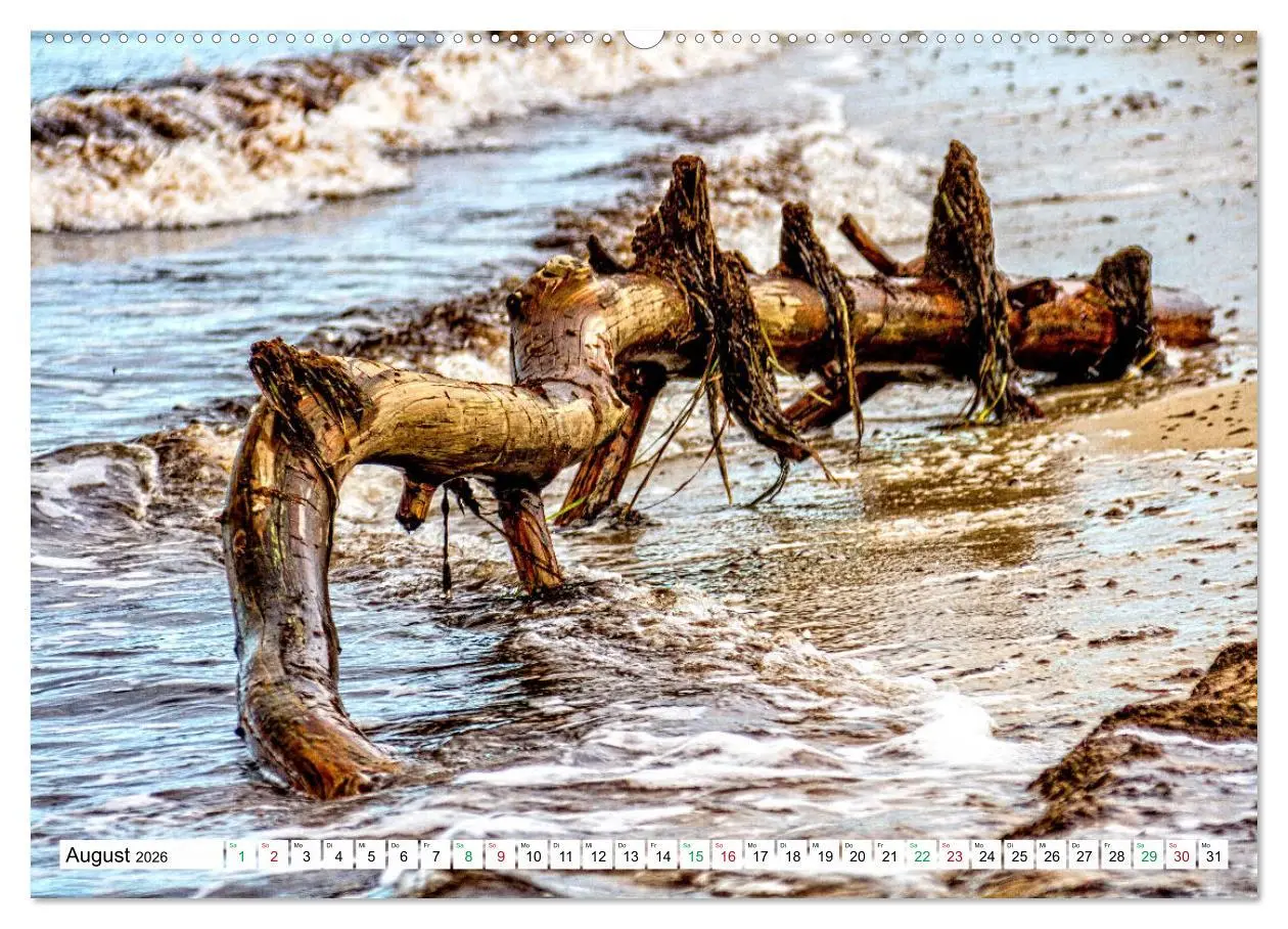 Bild: 9783457248317 | Darßer Weststrand - Fischland Darß Zingst (Wandkalender 2026 DIN A2...