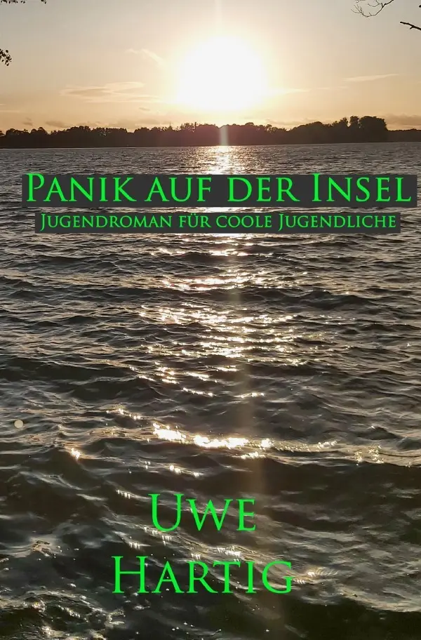 Cover: 9783565088317 | Panik auf der Insel | Roman für coole Jugendliche. DE | Uwe Hartig