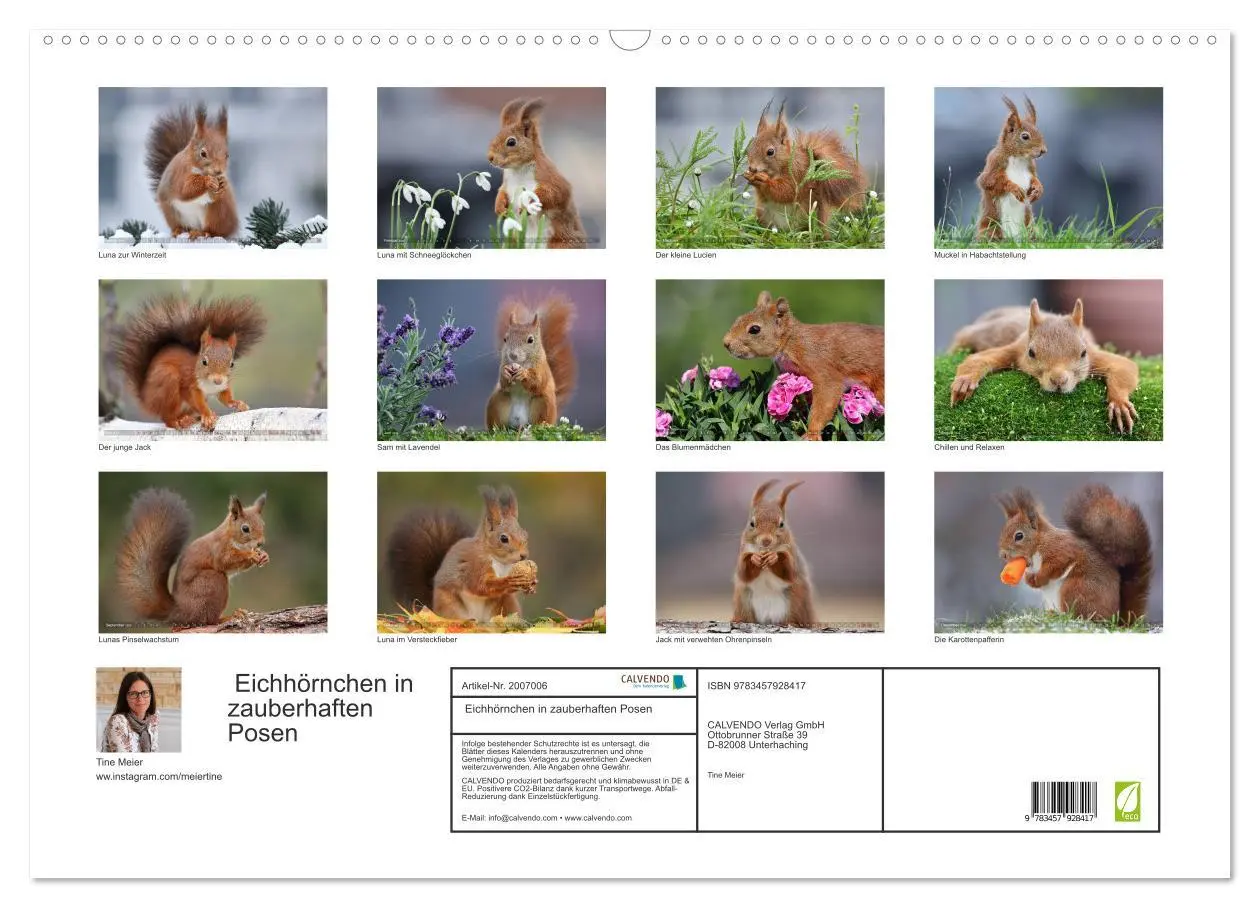 Bild: 9783457928417 | Eichhörnchen in zauberhaften Posen (Wandkalender 2026 DIN A2 quer),...