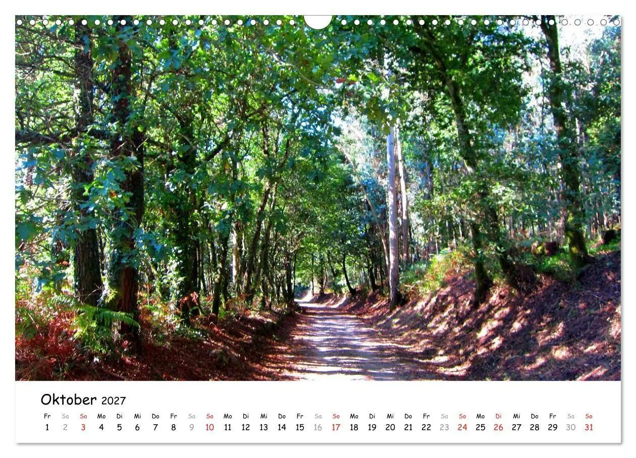 Bild: 9783569968417 | Camino Portugues - Jakobsweg (Wandkalender 2027 DIN A3 quer),...