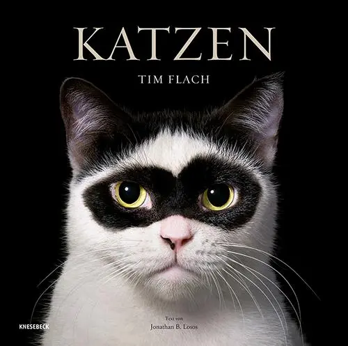 Cover: 9783957288417 | Katzen | Tim Flach | Buch | 336 S. | Deutsch | 2025
